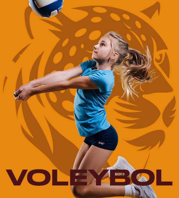 voleybol.jpg