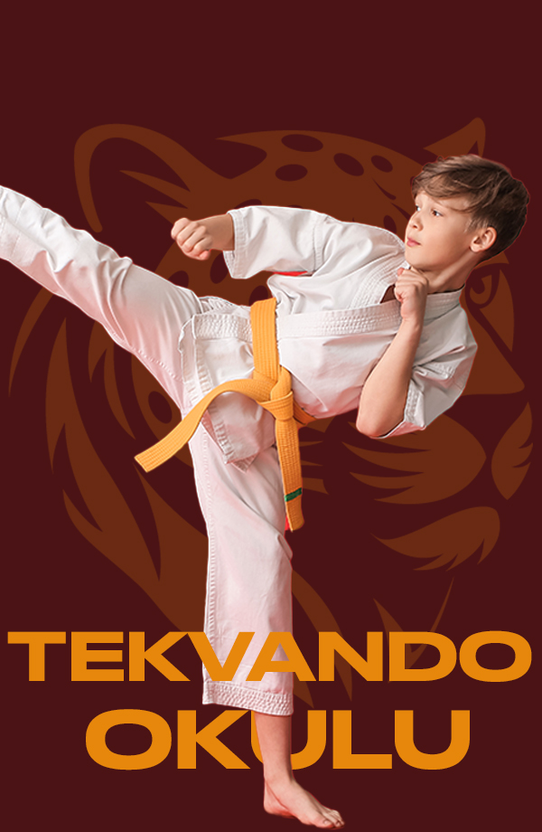 Taekwondo Okulu